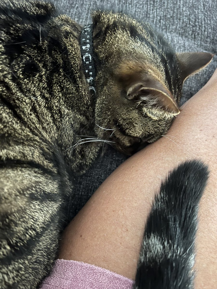 annicknoel's tweet photo. @Chateigneuse En même temps il pleut https://t.co/TA8YuK90C7