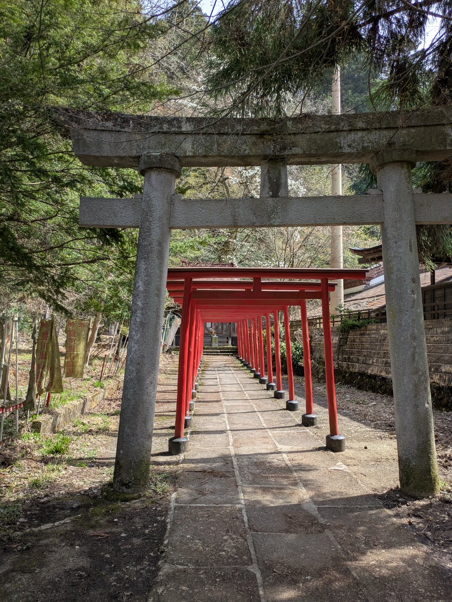 市内でも郊外でも桜がまだ見れました🌸