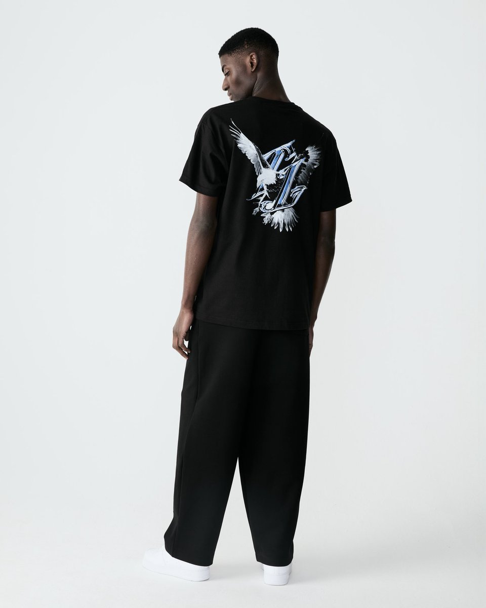 Presenting the Truthful Eagle T-shirt in timeless black, crafted as part of our premium blank collection for those who value refined essentials. #truthfullies