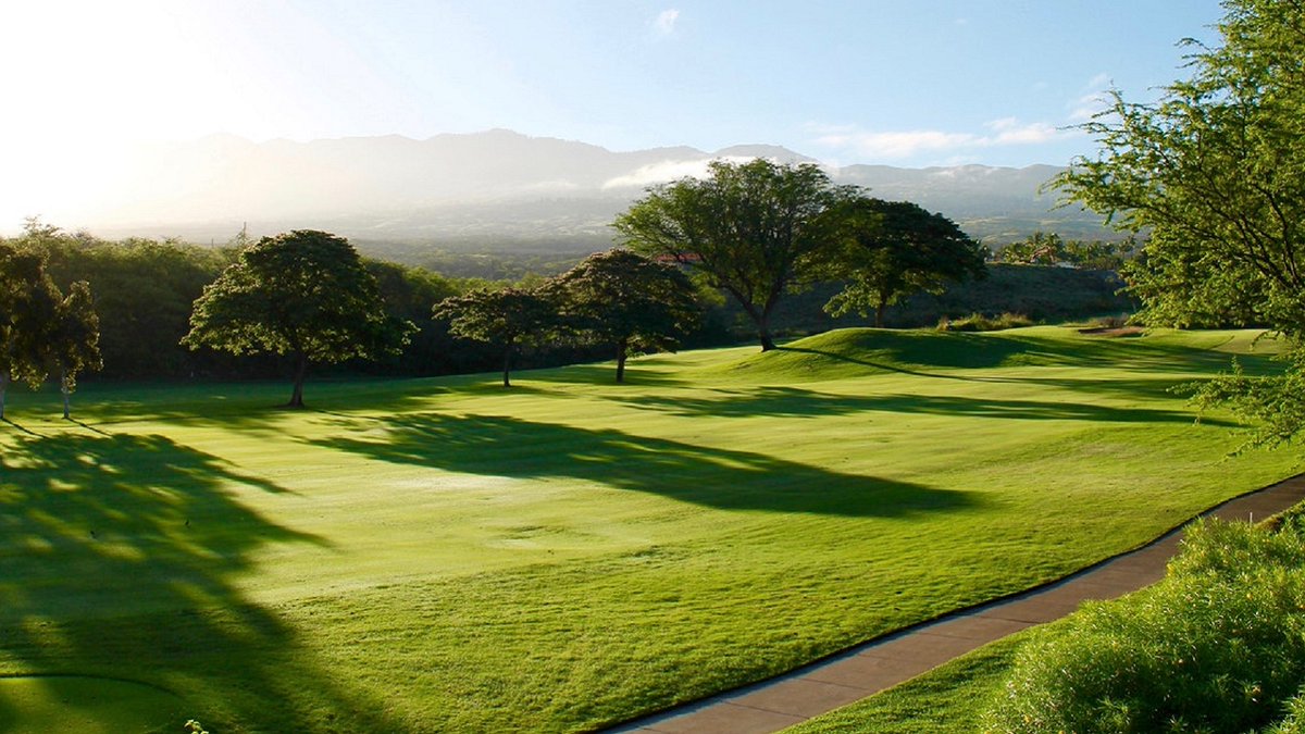 SyngentaTurf's tweet image. Stop #BrownRingPatch before it damages your course! 🚫 

Lisa Beirn, Ph.D., shares advice on managing this destructive #turfgrass disease with preventive solutions like #Briskway, #HeritageAction, #PosterityXT and more. 

Read these expert tips: bit.ly/3YgqD80