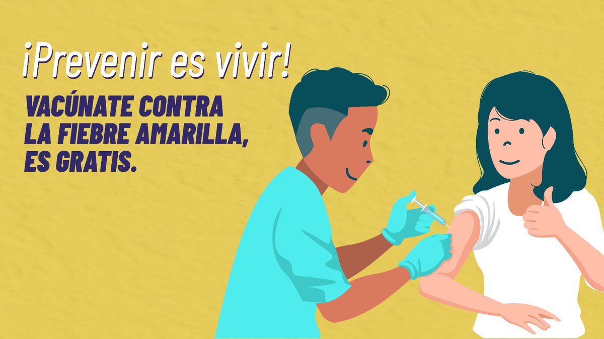 Salud_Ec's tweet photo. ¡Prevenir es vivir!

Vacúnate gratis contra la fiebre amarila.

Reforzamos la vacunación en la Amazonía.

Descarga tu certificado aquí: https://t.co/s8BsW0uh6t

#ElNuevoEcuador https://t.co/OZTBPQ6XTq