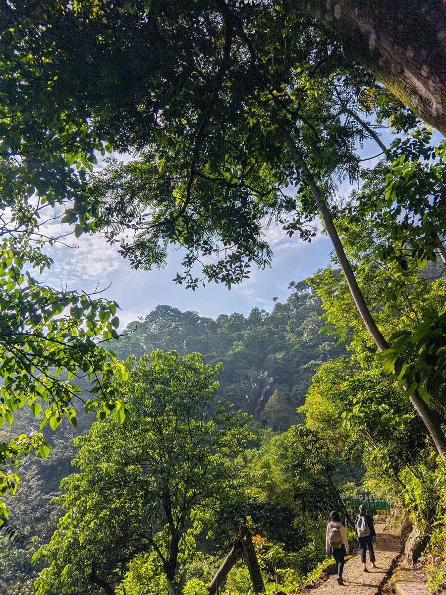 crushnyareece's tweet image. hasil gcam samsung💃