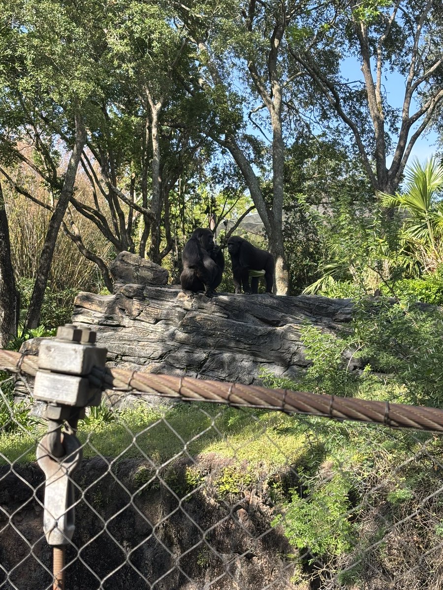 Boots to the ground. Running recon. 

Just give me ten good men and a slingshot. We’re taking this thing.