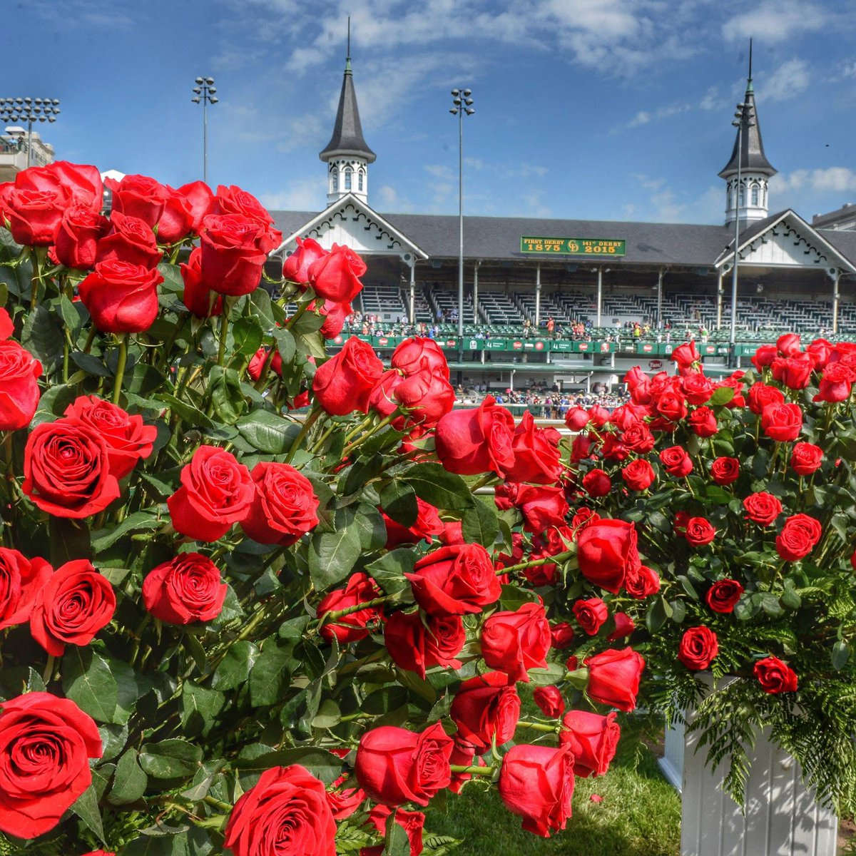 KathleenLevey's tweet image. Beautiful roses from @KentuckyDerby #kentuckyderby151 #kentuckyderby #usa #flowers #saturdaymorning 🐎