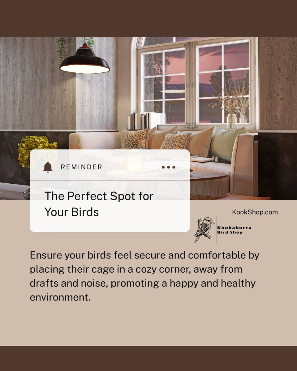BeckleyforTX's tweet image. 🚨 Attention bird lovers! 🦜✨ Find the perfect cage spot for your parrot's comfort! ✅ Quiet areas, avoid kitchens, and access natural light. 👉 Read more: 💛
#BirdCare #ParrotLovers #BirdEnthusiasts #PetBirds #BirdCageSetup #ParrotLife #HappyBirds