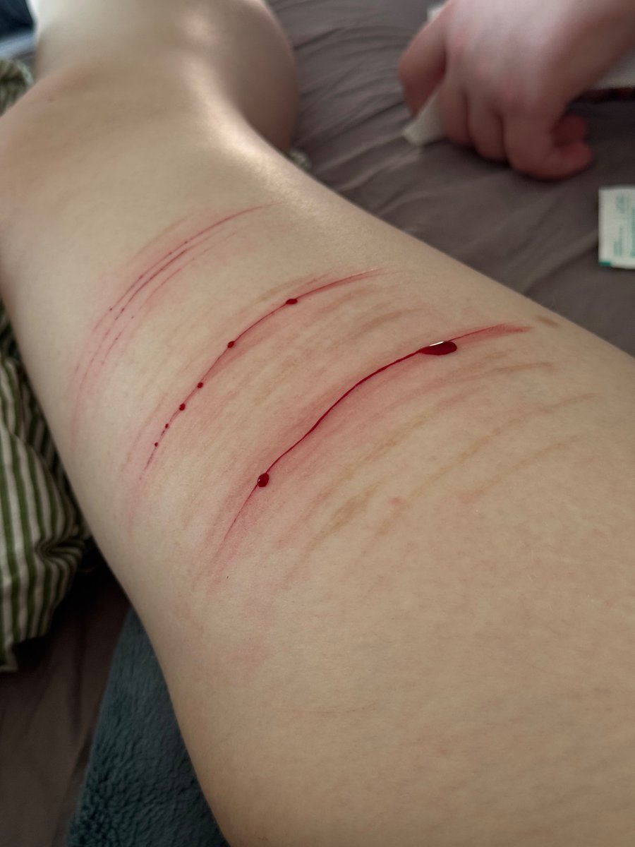 Luna🐾🐶 tweet media