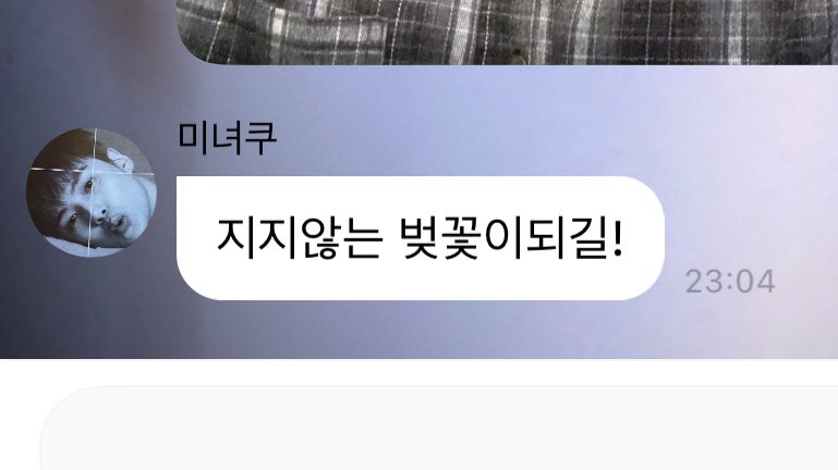 지지않는 벚꽃이되길!