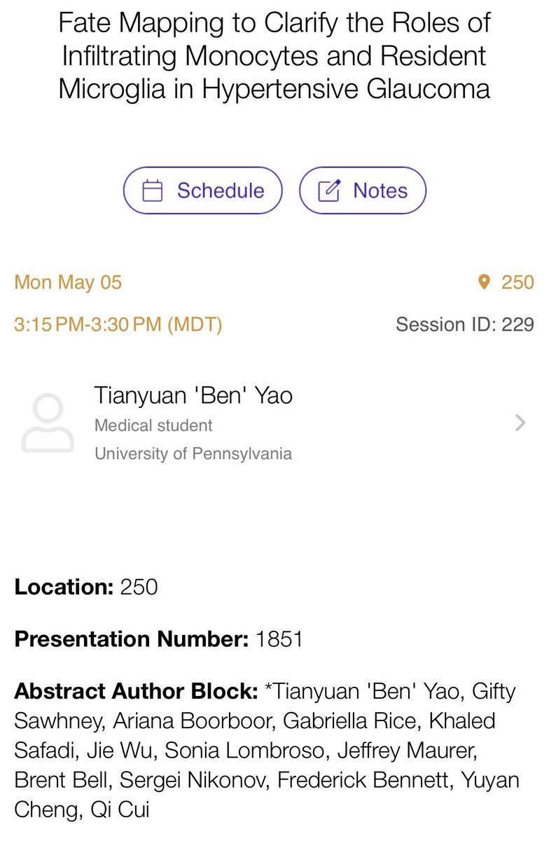 Gearing up for <a href="/ARVOinfo/">ARVO</a> #arvo2025 in SLC: first up on Monday, Ben Yao (medical student extraordinaire) will be giving a talk on the role of monocyte and microglia recruitment and activation following IOP elevation, with some interesting findings and wonderful images 😊
