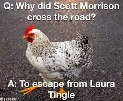 Louisepsyc_ist's tweet photo. @LaurieOakes #NotPMmaterial #Election2025 #DUMPEDDUTTON #auspol #qldpol #nswpol #vicpol #wapol #sapol #actpol #ntpol #taspol https://t.co/lT6PoXufev