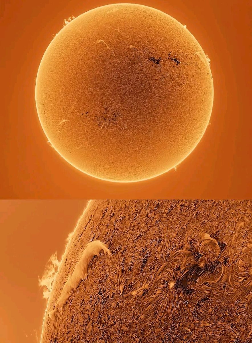BatchukaO's tweet photo. Нарны гайхалтай нарийвчилсан зураг. 
#Sun #SolarPower #SpaceExploration #Astronomy #SolarSystem #SunLovers #NaturePhotography #Astrophotography #Sunrise #IncredibleViews #SunScience #SolarResearch #LuminousSun #NatureBeauty #SunWatch #SunshineDays #BeautyInNature #CelestialWonder https://t.co/5BdLB2MVtH