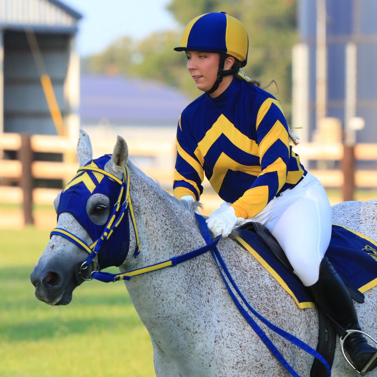 Murray State Racers Athletics tweet media