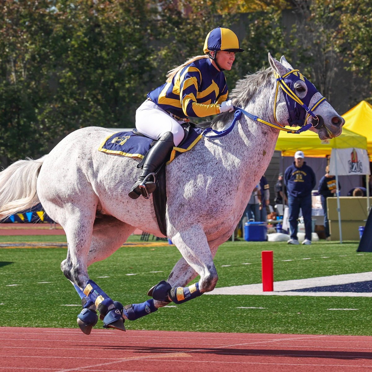 Murray State Racers Athletics tweet media