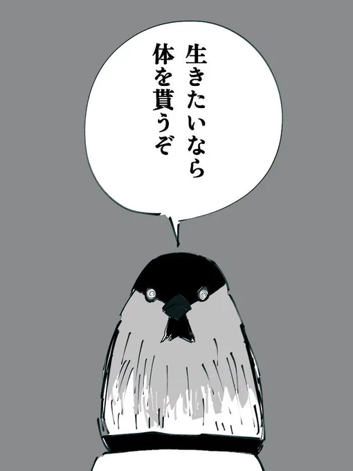 チョワワンマン 