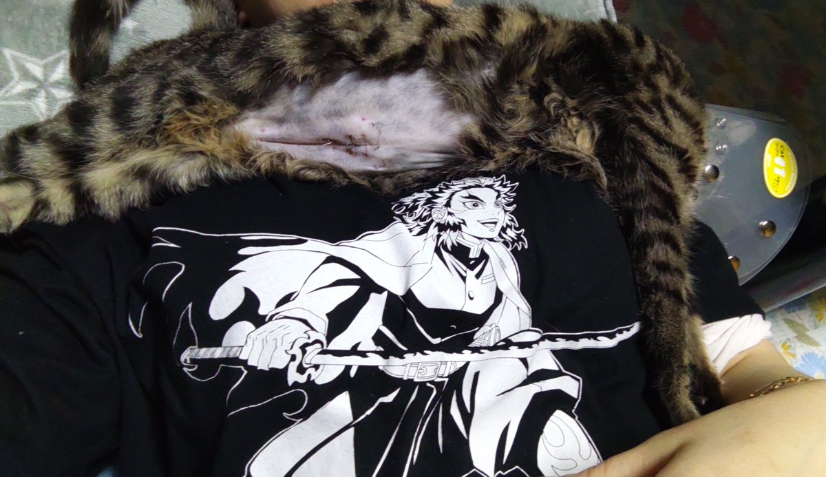 モクちか (@mocmog315) / Posts / X