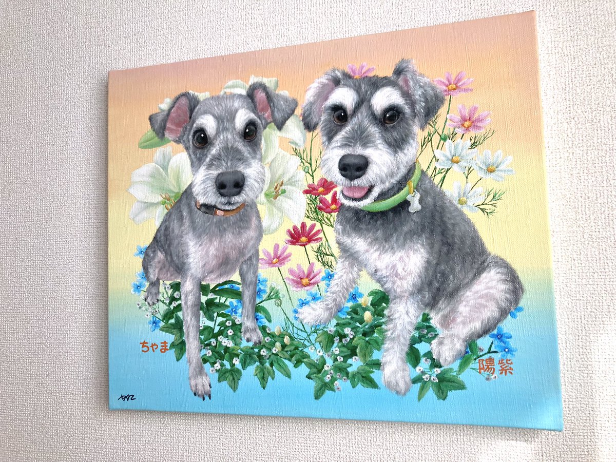65Rikonic's tweet photo. F8号　ちゃまくん🐶陽紫くん🐶
お花に囲まれて、華やかに✨💐 https://t.co/oNVODl33if