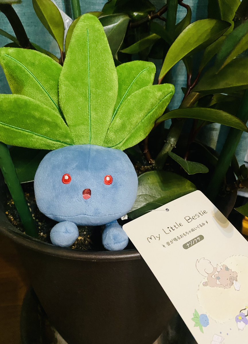 全日本ナゾノクサ振興協会 (@nazzo_nazzo) / Posts / X