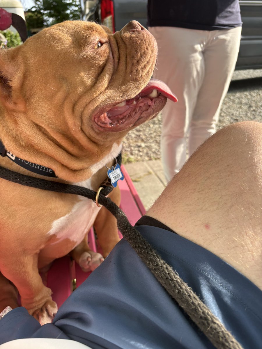 Welcome our boy Truck to the family!