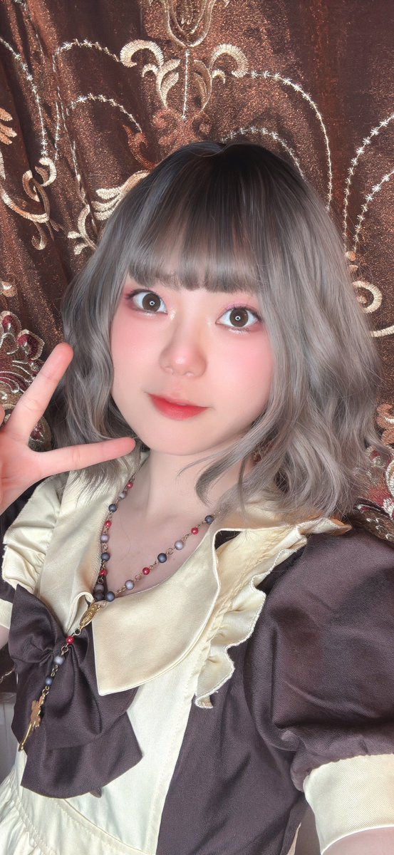 るいきた！