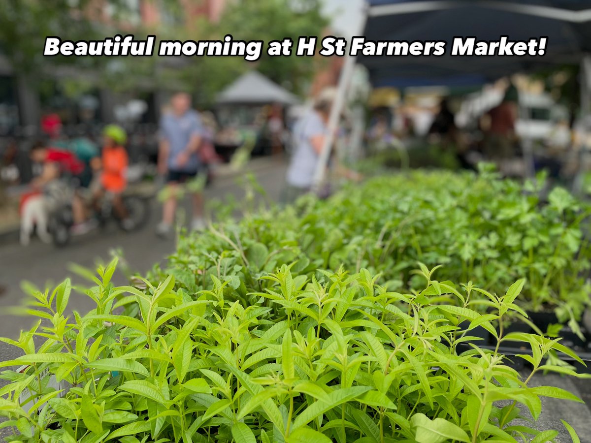 Ran into so many neighbors out at H Street Farmers Market this morning! <a href="/FRESHFARMDC/">FRESHFARM</a> <a href="/FRESHFARMHStNE/">FRESHFARMHStNE</a>