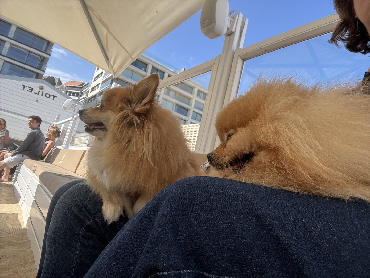ChanelTiboo's tweet photo. On passe 2 minutes sur le twitwi pour faire le coucou aux copains. On envoie des bisous de Belgiquie à Knokke le Zout. C’est cro drôle ce nom 😉 https://t.co/rYV7DE9sEz