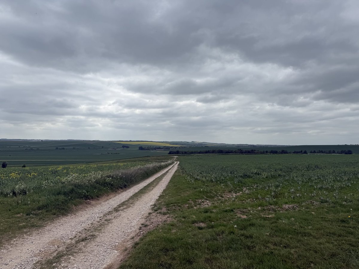 Paul Wheatley tweet media