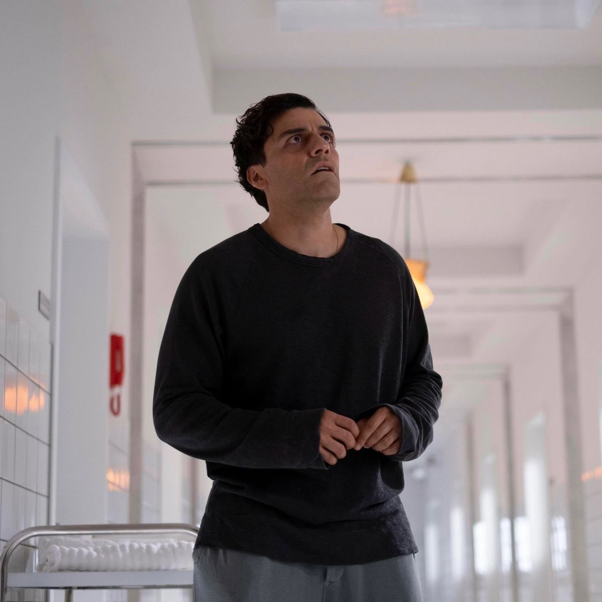 spectorsgrant's tweet image. steven and bob would be the best of friends 😭