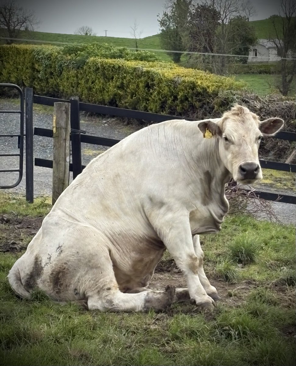 I know how she feels !