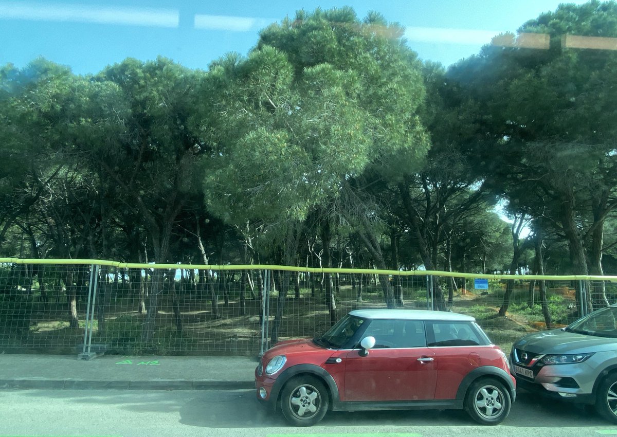 Xavier Dengra i Grau (@xavidegr) on Twitter photo Us sona la Festa de la Rosa del PSC, oi?
I la queixa veïnal pel soroll d'avions a l'aeroport, oi?
Sapigueu que l'<a href="/AjuntamentGava/">Ajuntament de Gavà</a> ha autoritzat construir PISOS DE LUXE A L'ÚLTIMA PINEDA MARÍTIMA local sense urbanitzar.
Silenci, perquè no és la Costa Brava.
És el Baix Llobregat. Us sona la Festa de la Rosa del PSC, oi?
I la queixa veïnal pel soroll d'avions a l'aeroport, oi?
Sapigueu que l'<a href="/AjuntamentGava/">Ajuntament de Gavà</a> ha autoritzat construir PISOS DE LUXE A L'ÚLTIMA PINEDA MARÍTIMA local sense urbanitzar.
Silenci, perquè no és la Costa Brava.
És el Baix Llobregat.