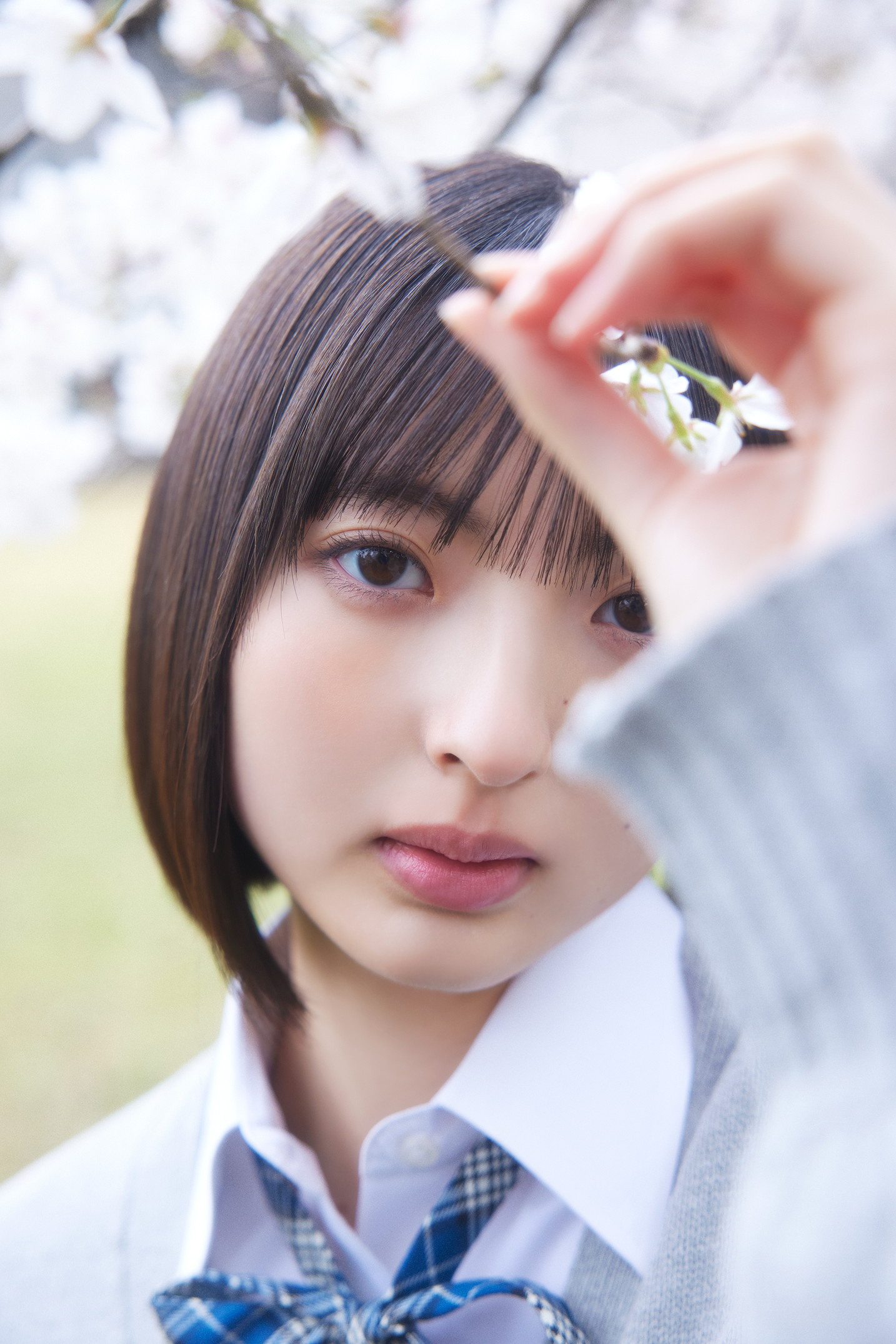 山田桃実 櫻坂46 生写真 四期生お披露目制服 コンプ 2セット ②