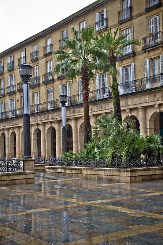 Where to see #palms... Plaza Nueva, Bilbao, #Spain. 📷: Mikel Agirregabiria CC BY-NC-ND 2.0. #Where2CPalms