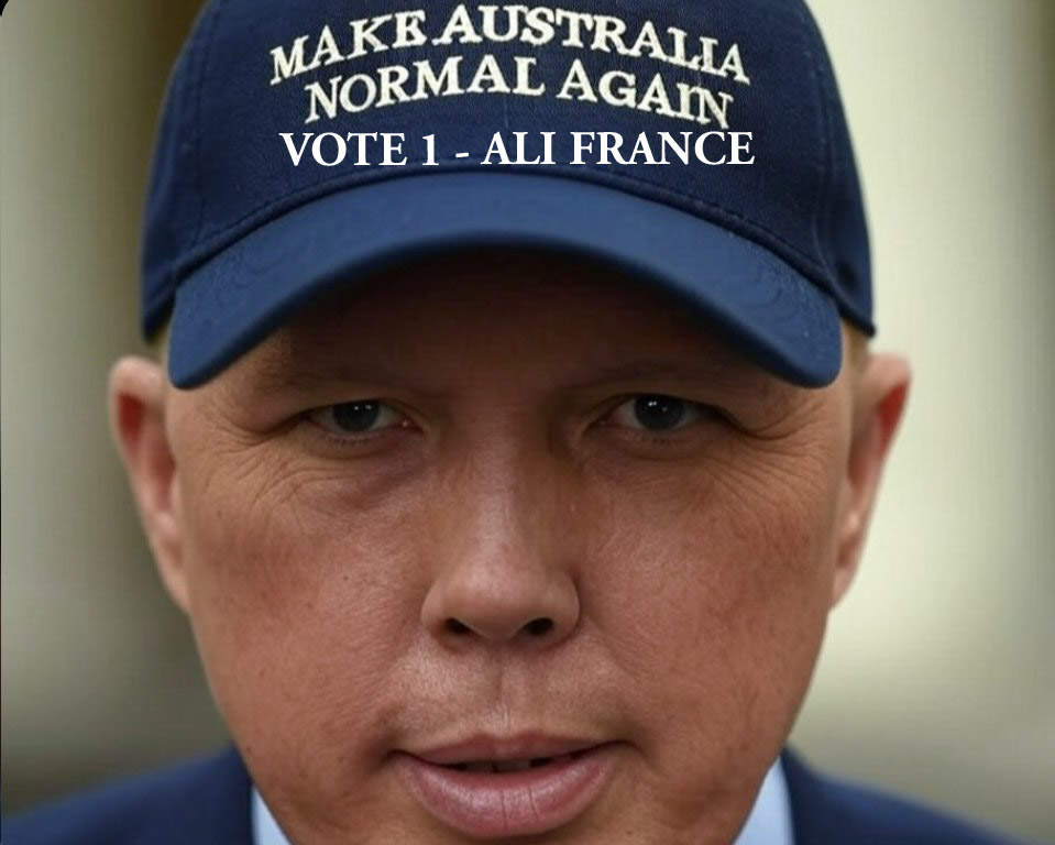 CalvnsharpieBoy's tweet image. I Move that the Member for Dixon be No Longer Heard ..... #auspol #Palladin #Canstruct