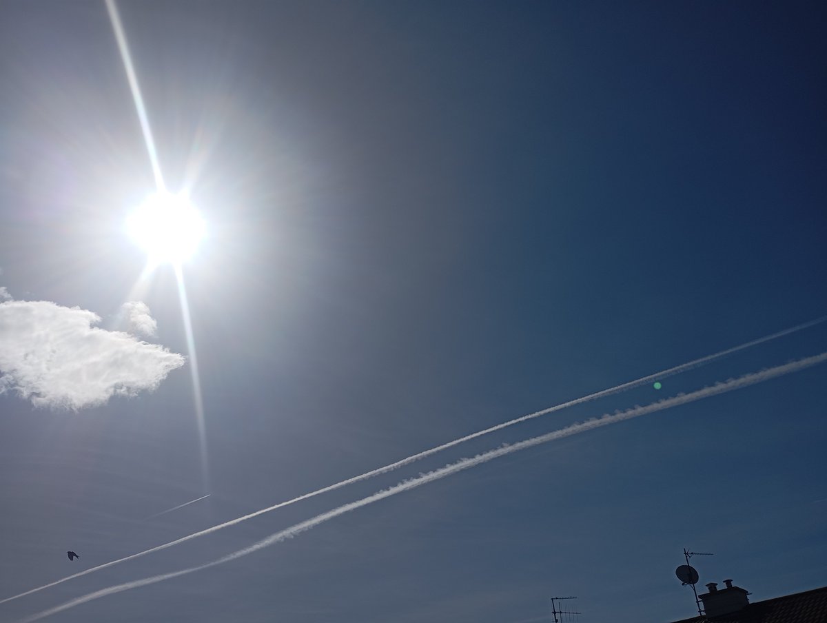 StarttheU's tweet image. Fine morning #chemtrails #contrails