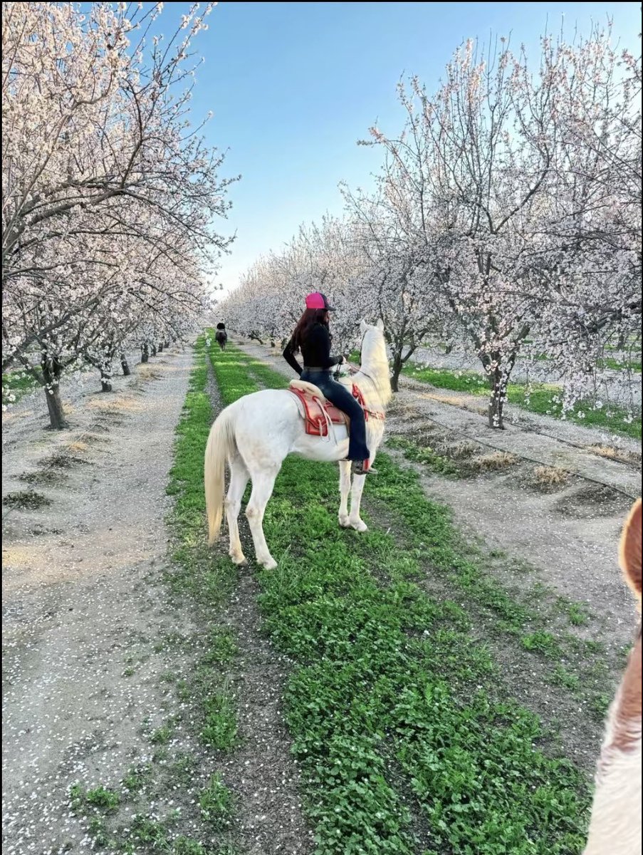 jamiletdeleon's tweet photo. Rode this horse yesterday but I wish I rode your big cock🥲 https://t.co/sgiXLb7uzi