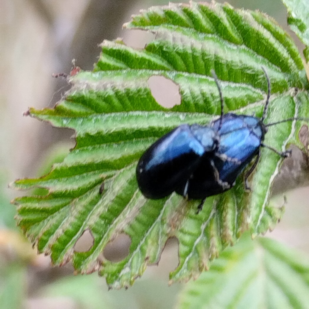 Kaspars712's tweet image. #Pavasaris...