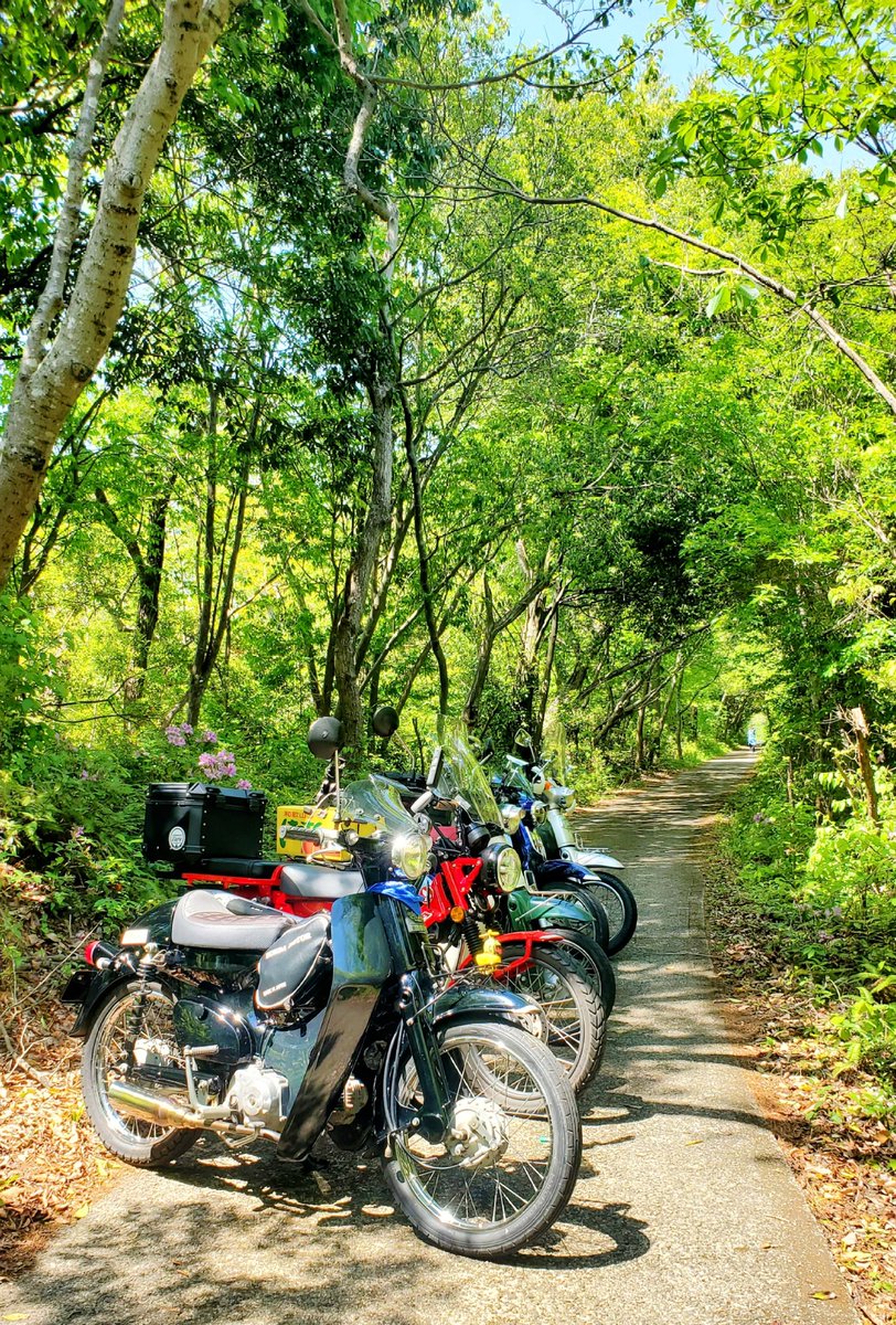 サロペット - Search / X