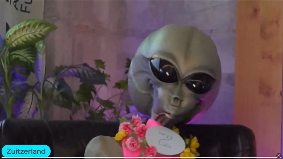 Zuitzerland tweet media