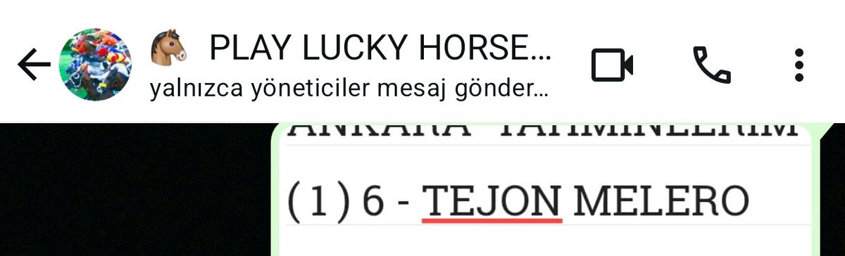 Sercankaya62's tweet image. #TEJON #MELERO
Bu at nasıl agf çıkmadı....