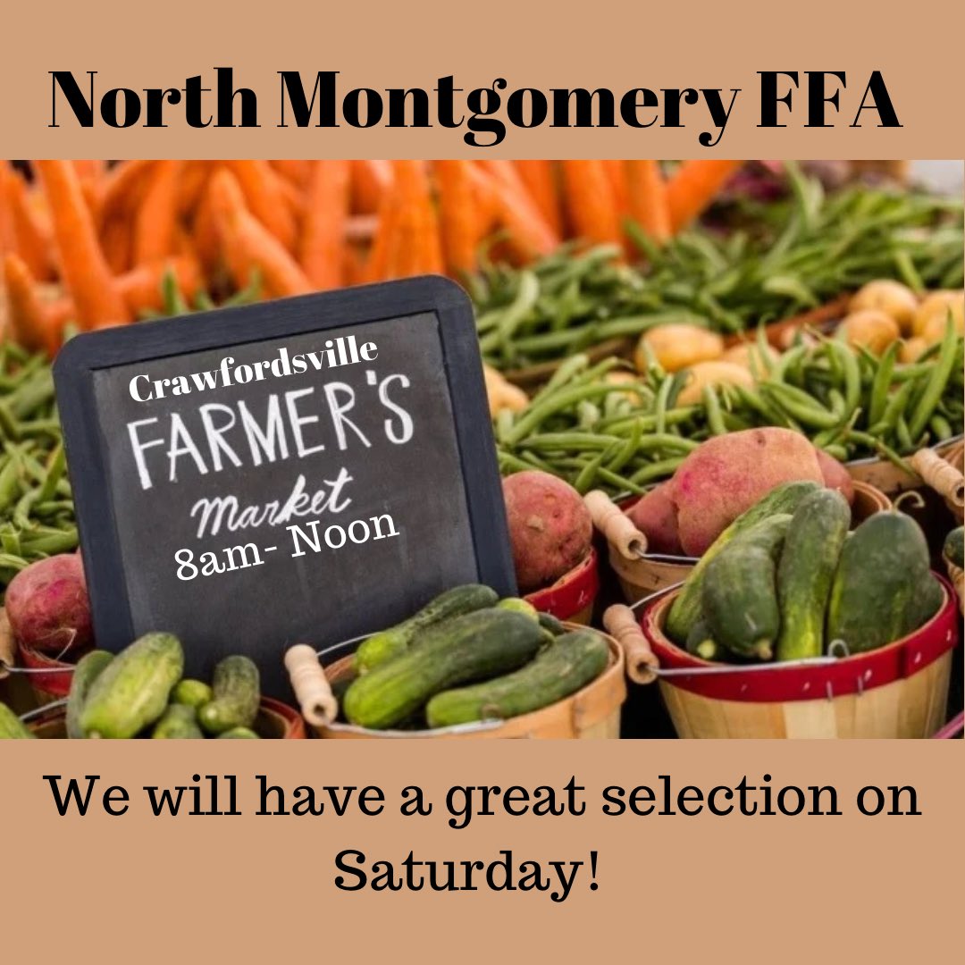 Go see Brody, Skylar and Kellen today!😊