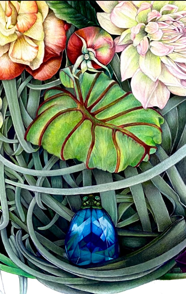 色鉛筆画 🖍️ AKITAKIKO (@kibisukibisu888) / Posts / X