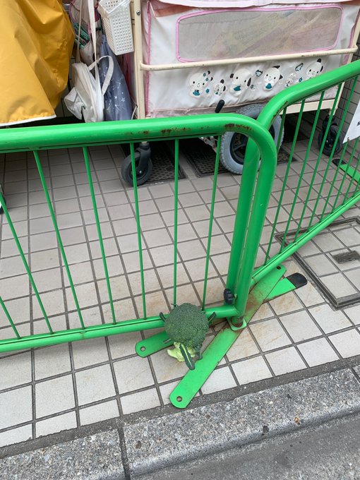道に落ちていたモノ tweet media