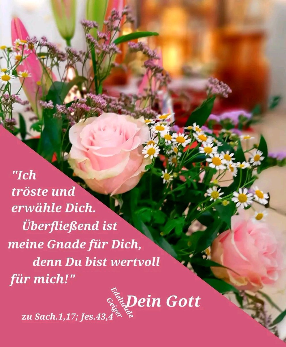 OSB🌹Röm. Kath.✝️🌹🇻🇦⚓ (@nadaliawieser) on Twitter photo 