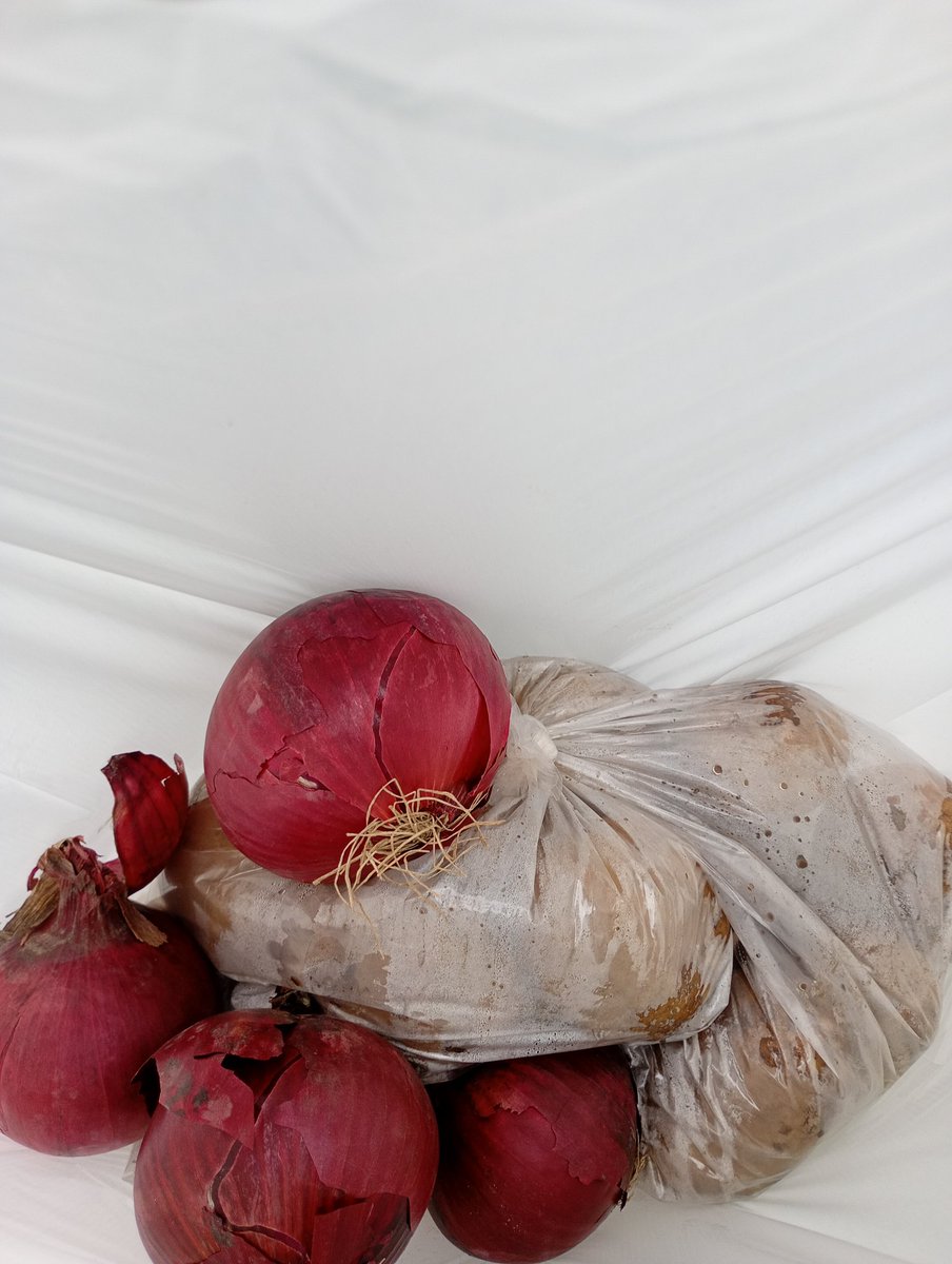 If anyone has left their veg at the Kombucha stall at market it's back with Richard the veg man.