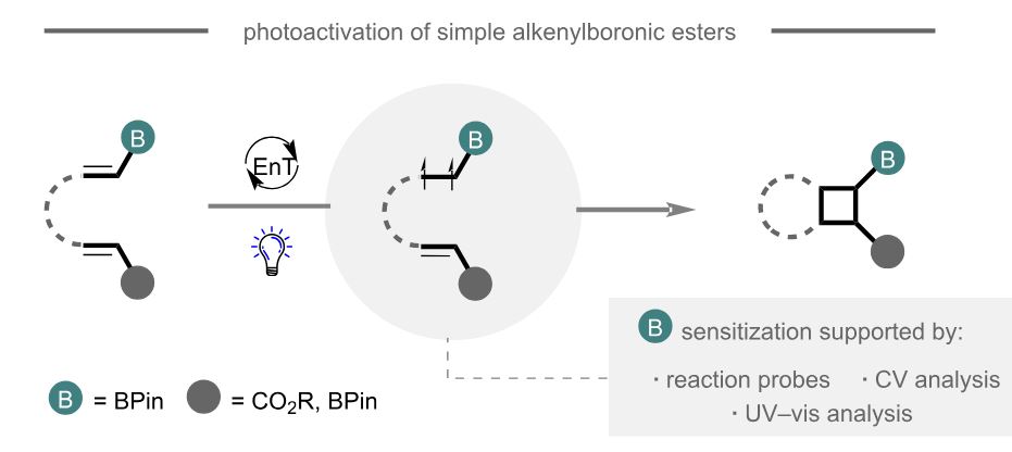 Johnjmol's tweet image. Delighted to share our recent research in BJOC as part of the "Photocatalysis and photochemistry in organic synthesis" special issue organized by @tnoel82 and Bart Pieber. Congratulations to all authors!
beilstein-journals.org/bjoc/articles/…