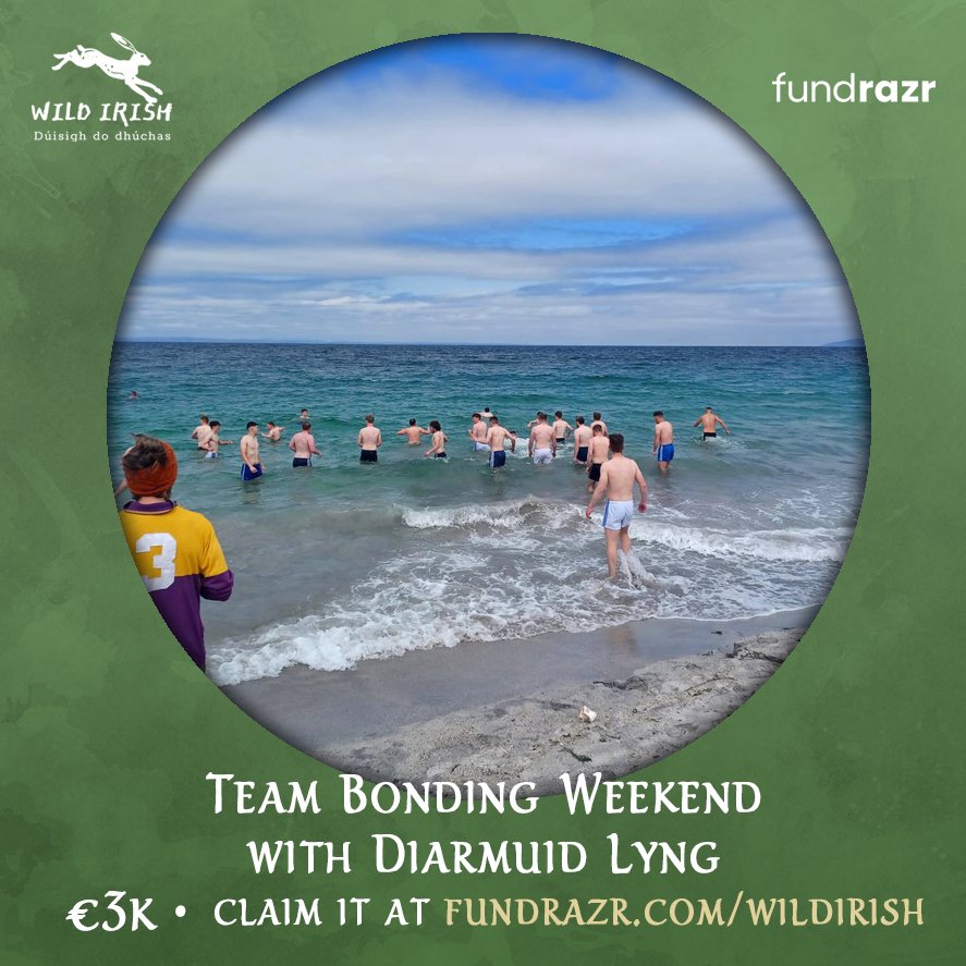 fundrazr.com/wildirish