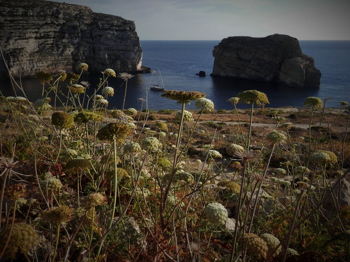 Dwejra Tower - Din l-Art Ħelwa tweet media
