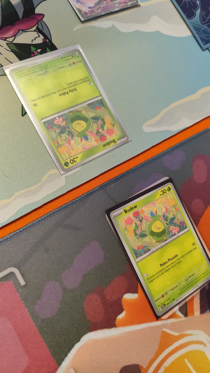 pokecamptcg's tweet photo. Empezamos ronda 2 con batalla epica de "titanes " budew ichi

#Pokemon #PokemonTCG #playpokemon https://t.co/AXcONvUitK