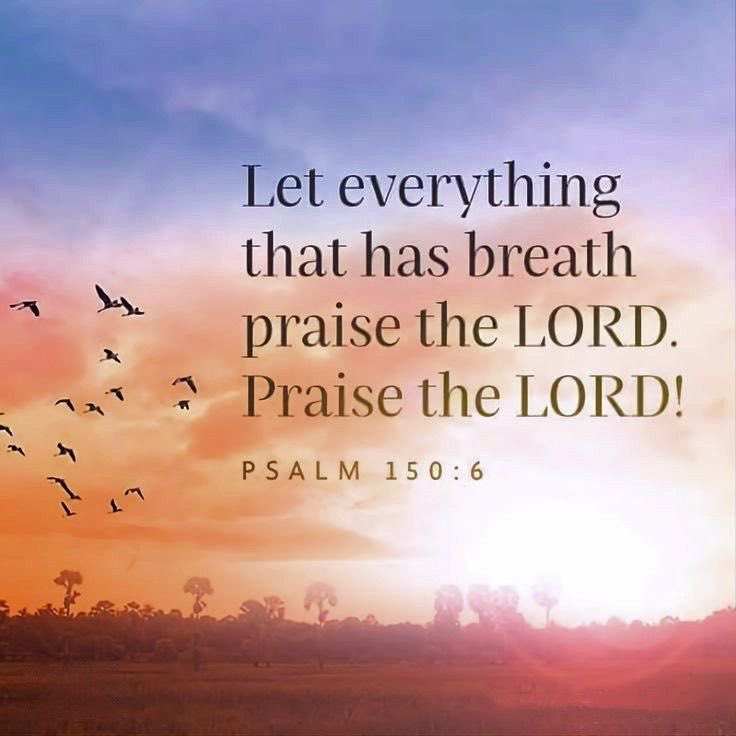 Let everything that has breath praise the LORD. Praise the LORD!

Psalm 150:6