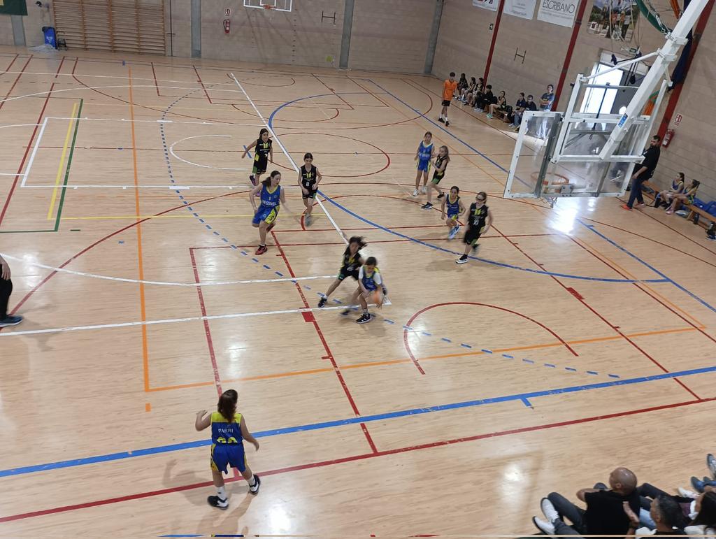 Front1989EBC (@front1989ebc) on Twitter photo Presents al pavelló #to_rent per veure les <a href="/esporlesbc/">ESPORLES B.C.</a> #minifemení vs @sonserverabasquet
#123esporles #welovethisgame🏀 #negrigocs #verdhistòric #front1989 #frontismeillibertat #nohaymásconos #elbàsquetcansa #semprepresents #semperfidelis Presents al pavelló #to_rent per veure les <a href="/esporlesbc/">ESPORLES B.C.</a> #minifemení vs @sonserverabasquet
#123esporles #welovethisgame🏀 #negrigocs #verdhistòric #front1989 #frontismeillibertat #nohaymásconos #elbàsquetcansa #semprepresents #semperfidelis