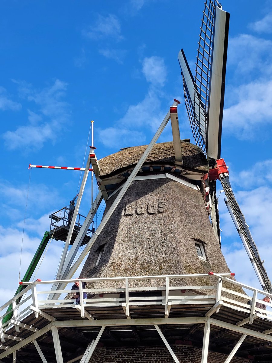 Vanmorgen in alle vroegte zijn de toppers van onze Havelter Molen de hoogte in gegaan! Gewapend met sponzen, doeken, water, zeep etc. En de Molen glanst weer als nooit tevoren! 🧽🧹🧼🫧

We zijn vandaag zoals iedere zaterdag open tot 16.30, tot straks! ☀️