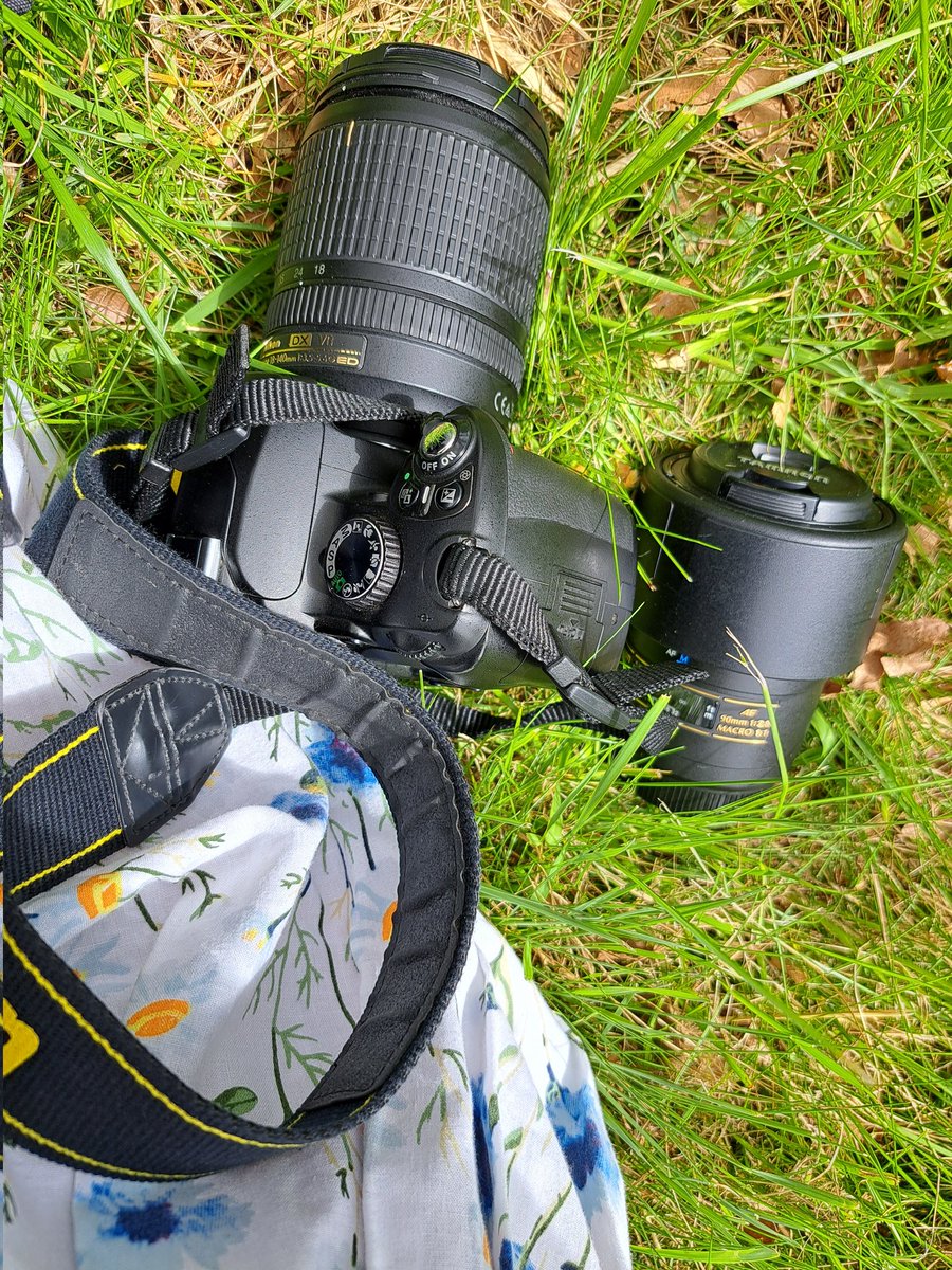 kaj_karla's tweet photo. Vejlet.
#fotim #nikon https://t.co/UmjAm8Hmyc